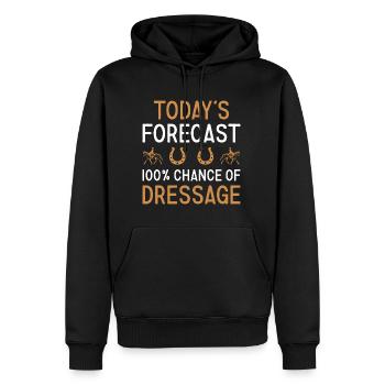 Cavalier Prévisions du jour Dressage - Sweat à capuche Premium bio Homme - noir - Devant - Nico (187cm)