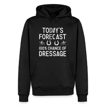 Cavalier Prévisions du jour Dressage - Sweat à capuche Premium bio Homme - noir - Devant - Nico (187cm)