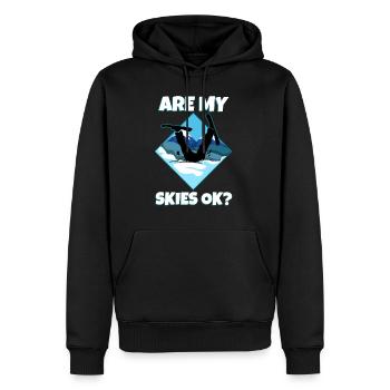 mes skis vont-ils bien? - Sweat à capuche Premium bio Homme - noir - Devant - Nico (187cm)