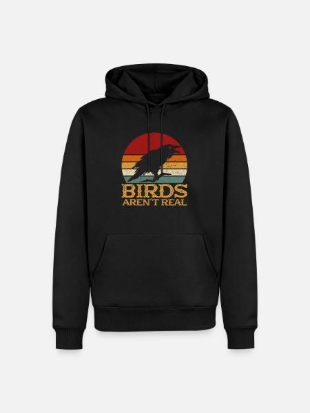 Birds Arent Real - Men’s Premium Organic Hoodie - black