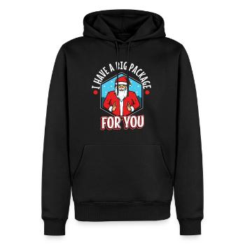 J’ai un gros paquet pour vous - Sweat à capuche Premium bio Homme - noir - Devant - Nico (187cm)