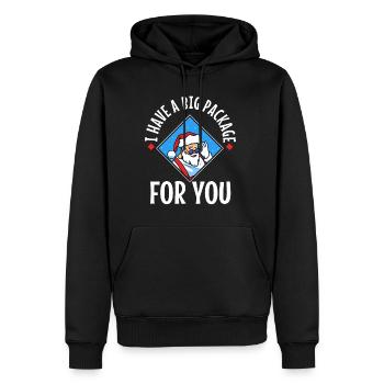 J’ai un gros paquet pour vous - Sweat à capuche Premium bio Homme - noir - Devant - Nico (187cm)