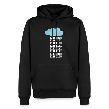 Cloud Computing Coder Programmierer Informatiker - Männer Premium Bio Hoodie - Schwarz - Vorne - Nico (187cm)
