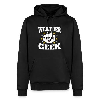 Weather Geek - Männer Premium Bio Hoodie - Schwarz - Vorne - Nico (187cm)