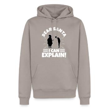 Dear santa i can explain - Männer Premium Bio Hoodie - Taupe - Vorne - Nico (187cm)