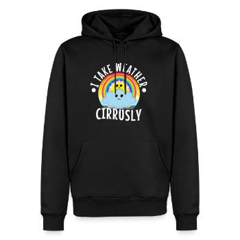 I Take Weather Cirrusly - Männer Premium Bio Hoodie - Schwarz - Vorne - Nico (187cm)