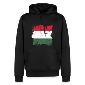 Ungarn Flagge Ungarische Fahne Balaton Hungary - Männer Premium Bio Hoodie - Schwarz - Vorne - Nico (187cm)