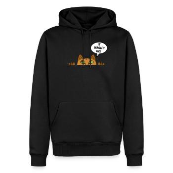 Freche süße Katze maine coon perser Geschenk - Männer Premium Bio Hoodie - Schwarz - Vorne - Nico (187cm)