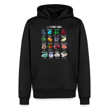 Minerals and gems most important in the USA - Men’s Premium Organic Hoodie - black - Front - Nico (187cm)