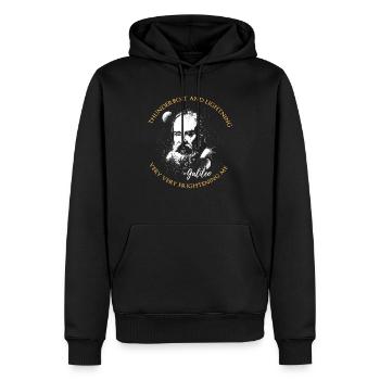 Thunderbolt and Lightning - Männer Premium Bio Hoodie - Schwarz - Vorne - Nico (187cm)
