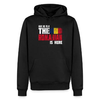 Idée cadeau cadeau bannière bannière Roumanie - Sweat à capuche Premium bio Homme - noir - Devant - Nico (187cm)