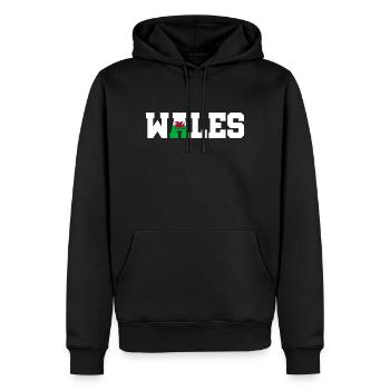 Wales Wales Wales - Männer Premium Bio Hoodie - Schwarz - Vorne - Nico (187cm)