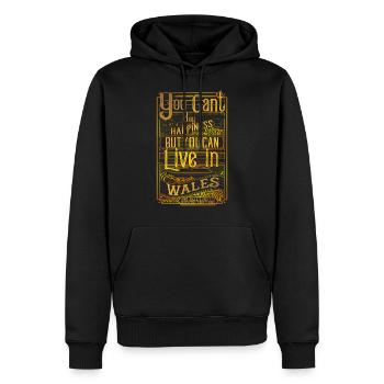 Pays de Galles - Sweat à capuche Premium bio Homme - noir - Devant - Nico (187cm)