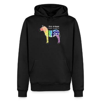 Buntes Zebra Regenbogen Positiver Spruch Geschenk - Männer Premium Bio Hoodie - Schwarz - Vorne - Nico (187cm)