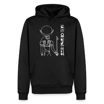 Chemise de Dieu de divinité d'Egypte de voyageur - Sweat à capuche Premium bio Homme - noir - Devant - Nico (187cm)
