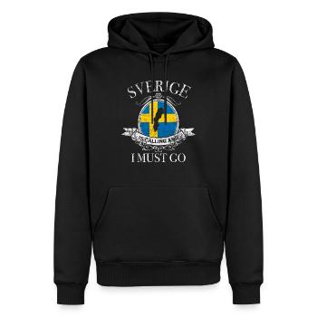 Sverige - Sweat à capuche Premium bio Homme - noir - Devant - Nico (187cm)