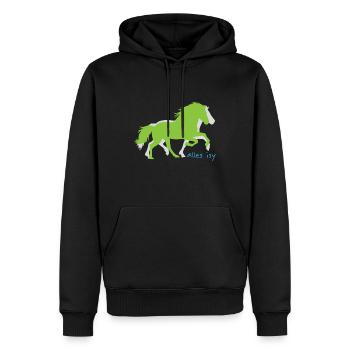 Cavaliers Islandais cheval poney fête - Sweat à capuche Premium bio Homme - noir - Devant - Nico (187cm)
