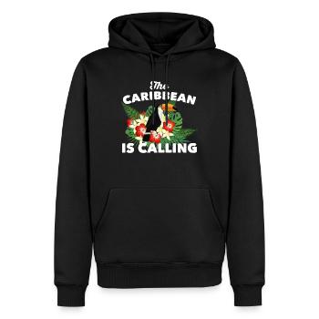 "Les Caraïbes appellent" Vacances sur l'île - Sweat à capuche Premium bio Homme - noir - Devant - Nico (187cm)