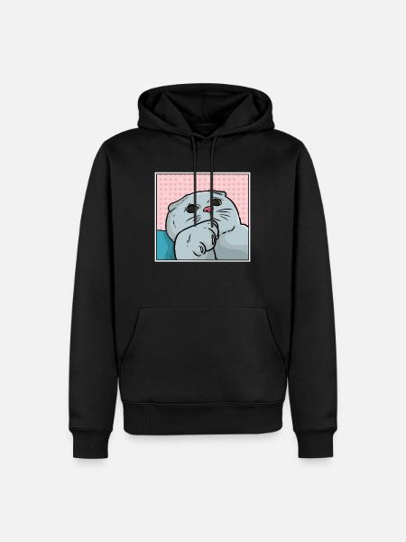 Chat foldex - Sweat à capuche Premium bio Homme - noir