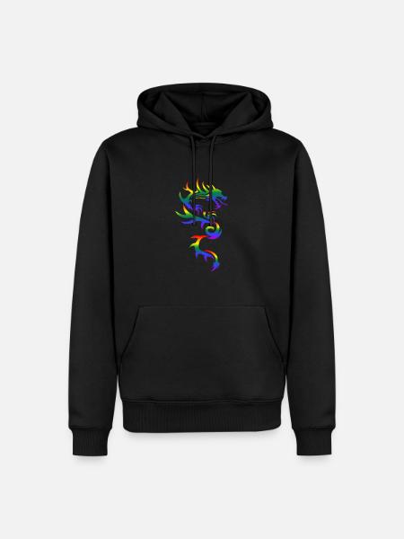 Gay Pride Gift - Mannen Premium Bio hoodie - zwart