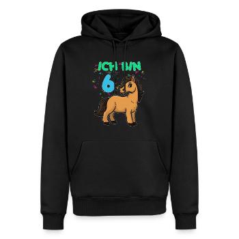 6 Jahre alt Pony Geburtstag - Männer Premium Bio Hoodie - Schwarz - Vorne - Nico (187cm)