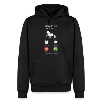 Pferde Pferdespruch - Männer Premium Bio Hoodie - Schwarz - Vorne - Nico (187cm)