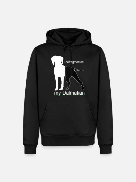 Informatiker Admin Sprüche - Männer Premium Bio Hoodie - Schwarz