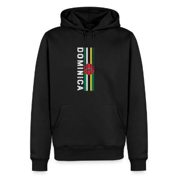 dominica couleur de la terre dans les rayures - Sweat à capuche Premium bio Homme - noir - Devant - Nico (187cm)