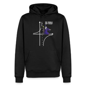 13 YOU SHALL NOT PASS Mathe Parabole - Sweat à capuche Premium bio Homme - noir - Devant - Nico (187cm)