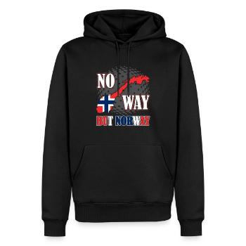 Norvège Scandinavie Oslo cadeau - Sweat à capuche Premium bio Homme - noir - Devant - Nico (187cm)