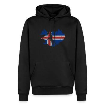 Cheval islandais, drapeau islandais, contour de l'Islande - Sweat à capuche Premium bio Homme - noir - Devant - Nico (187cm)