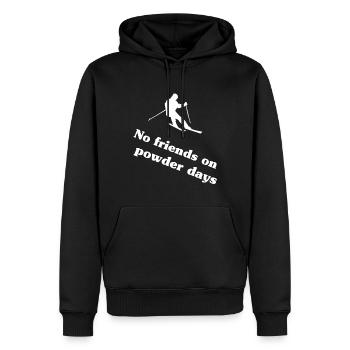 Ski Skifahren Skisport - Männer Premium Bio Hoodie - Schwarz - Vorne - Nico (187cm)
