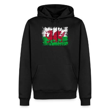 Wales flag St Davids Day Cymraeg Welsh coat of arms - Men’s Premium Organic Hoodie - black - Front - Nico (187cm)
