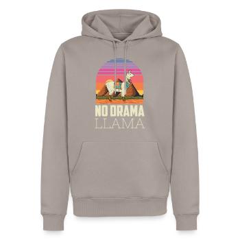 No Drama Lama Yoga Energie - Männer Premium Bio Hoodie - Taupe - Vorne - Nico (187cm)