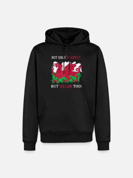 Wales Flagge St Davids Day Cymraeg Waliser Wappen - Männer Premium Bio Hoodie - Schwarz