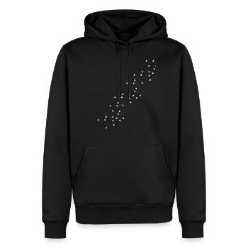 étoile - Sweat à capuche Premium bio Homme - noir - Devant - Nico (187cm)
