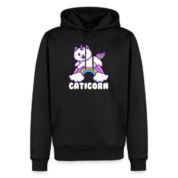 Arc-en-ciel de Caticorn - Sweat à capuche Premium bio Homme - noir - Devant - Nico (187cm)