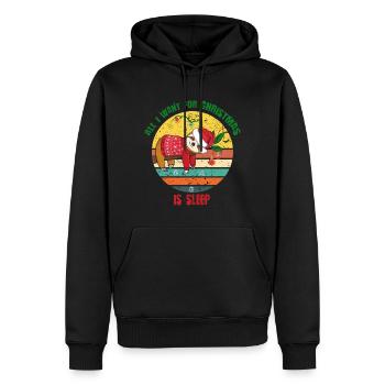 Sloth with Christmas sweater - Men’s Premium Organic Hoodie - black - Front - Nico (187cm)