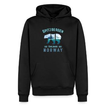 Svalbard Spitsbergen Islands Norvège avec fjords - Sweat à capuche Premium bio Homme - noir - Devant - Nico (187cm)