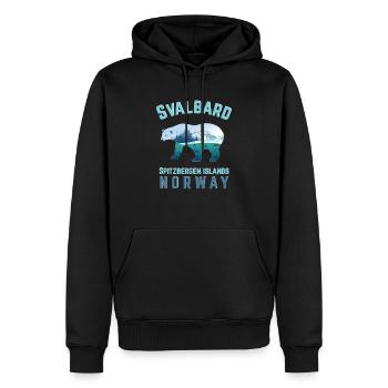 Svalbard Spitsbergen Islands Norvège avec fjords - Sweat à capuche Premium bio Homme - noir - Devant - Nico (187cm)