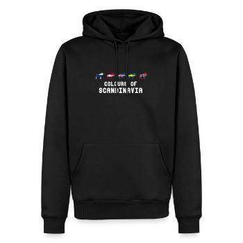 Colors of scandinavia - Scandinavia - Men’s Premium Organic Hoodie - black - Front - Nico (187cm)