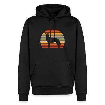 Kurzhaarcollie Vintage Familienhund Geschenk - Männer Premium Bio Hoodie - Schwarz - Vorne - Nico (187cm)