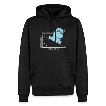 Mathe Hippotenuse Winkelfunktion Hypotenuse Nilpfe - Männer Premium Bio Hoodie - Schwarz - Vorne - Nico (187cm)