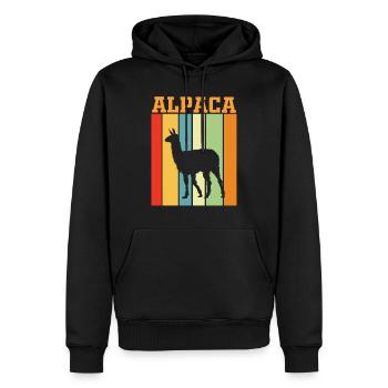 Alpapaka Jeu de couleurs rétro - Sweat à capuche Premium bio Homme - noir - Devant - Nico (187cm)