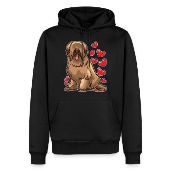 Briard Hundeliebhaber Geschenk - Männer Premium Bio Hoodie - Schwarz - Vorne - Nico (187cm)