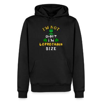 Irlandais, Irlandais, Irlandais, Irlande, Irlande, Irlande, Irlande - Sweat à capuche Premium bio Homme - noir - Devant - Nico (187cm)