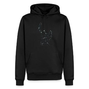 Orion Étoiles - Sweat à capuche Premium bio Homme - noir - Devant - Nico (187cm)