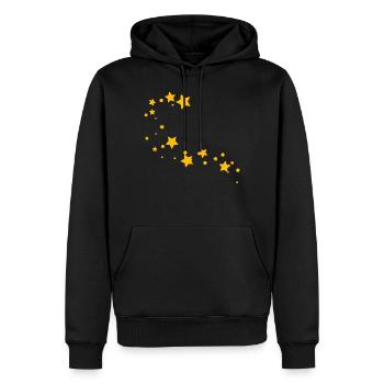 Sternschnuppe - Männer Premium Bio Hoodie - Schwarz - Vorne - Nico (187cm)