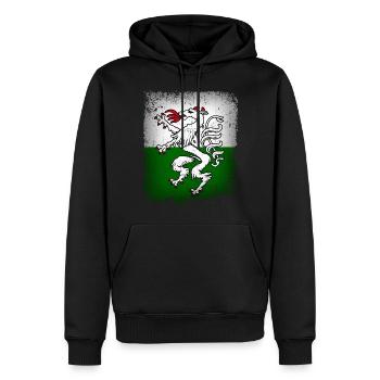 Steiermark Fahne Flagge Steirischer Panther Wappen - Männer Premium Bio Hoodie - Schwarz - Vorne - Nico (187cm)