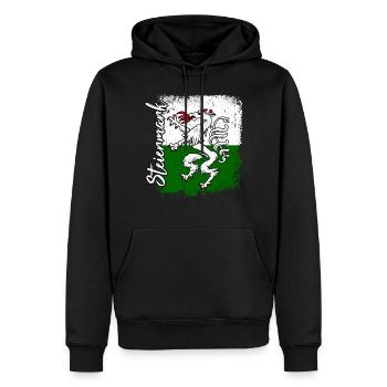 Steiermark - Männer Premium Bio Hoodie - Schwarz - Vorne - Nico (187cm)